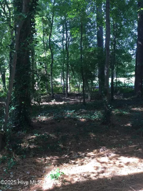 3 Belair Pl, Pinehurst, NC 28374 photo 6