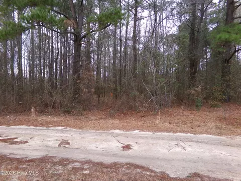 lot16 Straight Way Rd, Fairmont, NC 28340