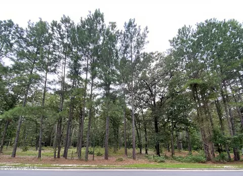 231 Meyer Farm Dr, Pinehurst, NC 28374 photo 3