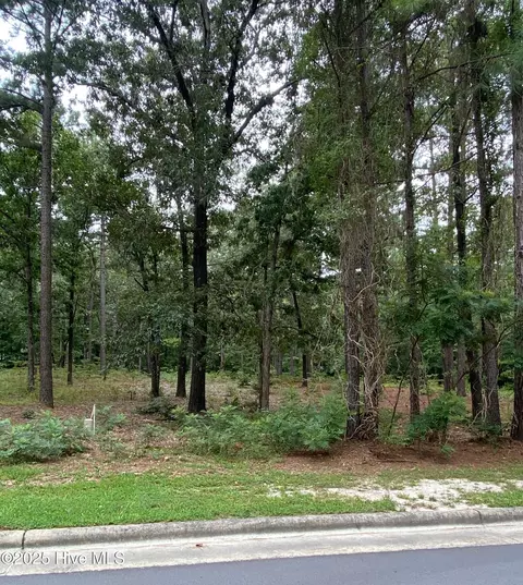 231 Meyer Farm Dr, Pinehurst, NC 28374 photo 7