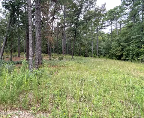 231 Meyer Farm Dr, Pinehurst, NC 28374 photo 8