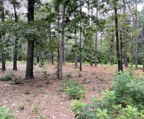 231 Meyer Farm Dr, Pinehurst, NC 28374 photo 5