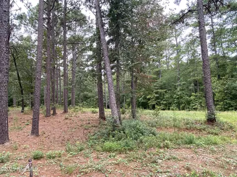 231 Meyer Farm Dr, Pinehurst, NC 28374 photo 6
