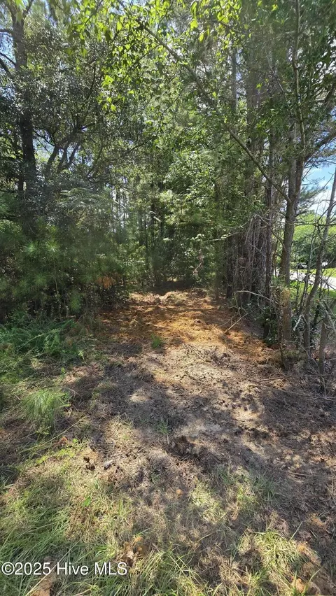 0 Underwood Rd, Murfreesboro, NC 27855 photo 6