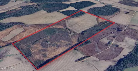 0 Near 685 Rossie Ober Rd, Whiteville, NC 28472