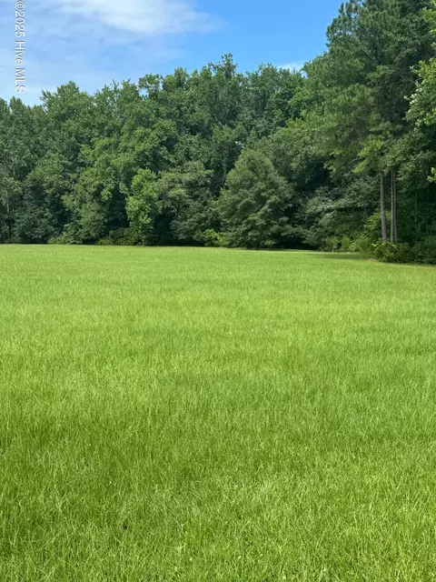 lot4 Branchwood Dr, Kinston, NC 28504
