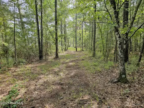lot77 Mcgowan Rd, Bath, NC 27808 photo 9