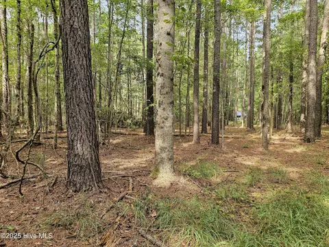 lot77 Mcgowan Rd, Bath, NC 27808 photo 6