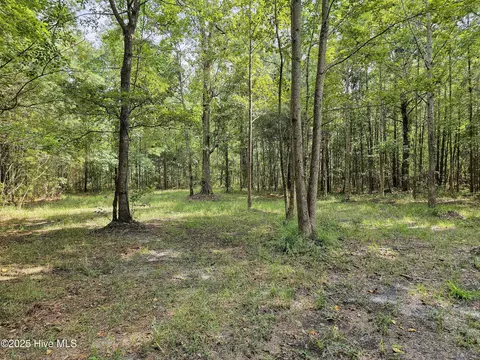 lot77 Mcgowan Rd, Bath, NC 27808 photo 7