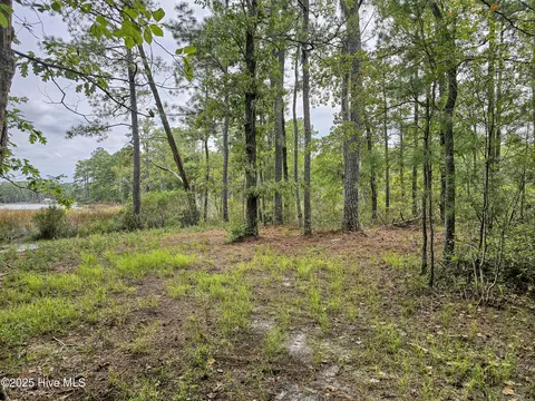 lot77 Mcgowan Rd, Bath, NC 27808 photo 10
