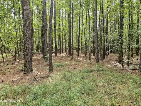 lot77 Mcgowan Rd, Bath, NC 27808 photo 5
