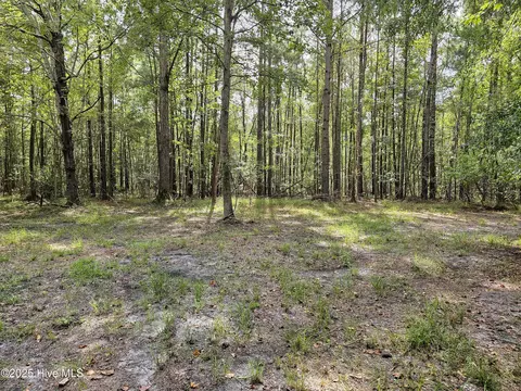 lot77 Mcgowan Rd, Bath, NC 27808 photo 8