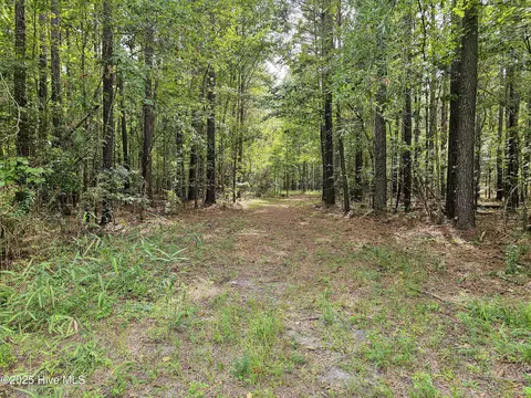 lot77 Mcgowan Rd, Bath, NC 27808 photo 4