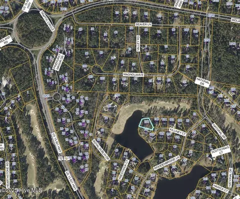 108 Killiney Ct, Pinehurst, NC 28374 photo 2