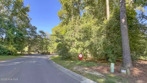 111 Cherry Laurel Dr, Wallace, NC 28466 photo 3