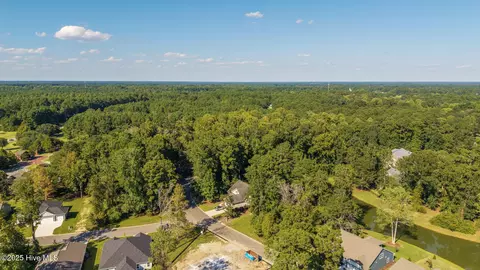 111 Cherry Laurel Dr, Wallace, NC 28466 photo 5