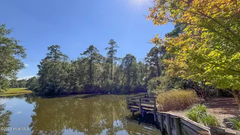 111 Cherry Laurel Dr, Wallace, NC 28466 photo 26