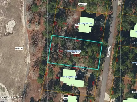 288 Chestnut Dr, Vass, NC 28394