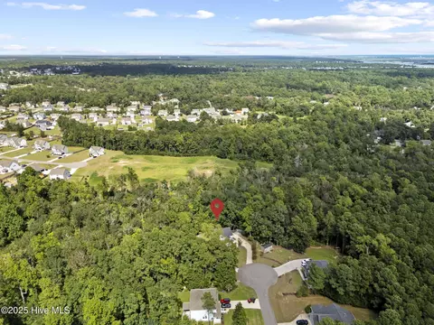 View/Area - 75 Twisted Oak Ct, Hampstead, NC 28443 photo 3 of 5
