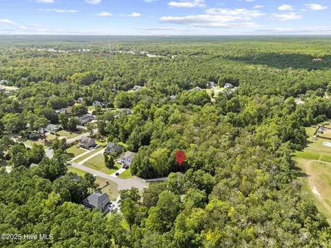 View/Area - 75 Twisted Oak Ct, Hampstead, NC 28443 photo 5 of 5