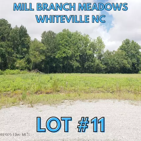 112 Mill Branch Dr, Whiteville, NC 28472