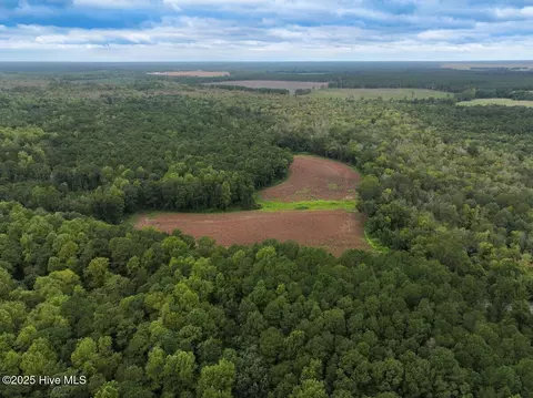 0 Stocking Head Rd, Greenevers, NC 28458 photo 19