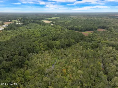 0 Stocking Head Rd, Greenevers, NC 28458 photo 17