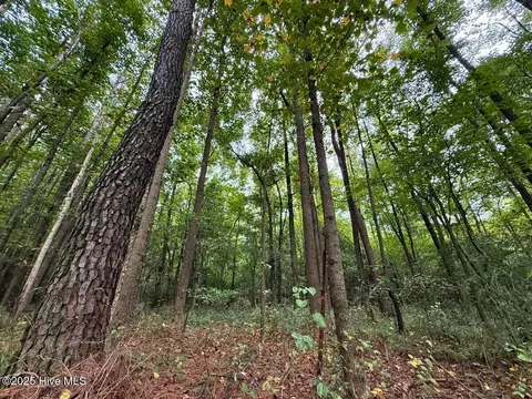 0 Stocking Head Rd, Greenevers, NC 28458 photo 25