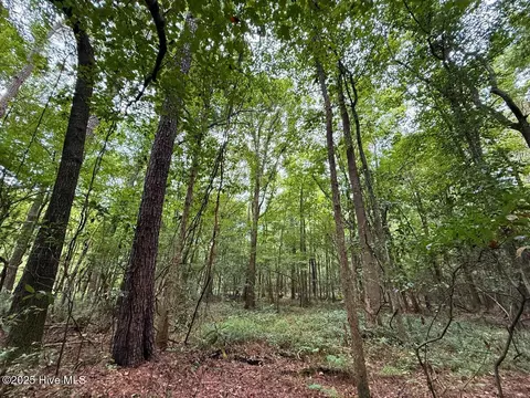 0 Stocking Head Rd, Greenevers, NC 28458 photo 37