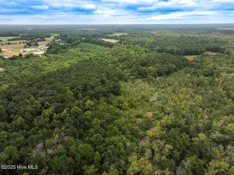 0 Stocking Head Rd, Greenevers, NC 28458 photo 16