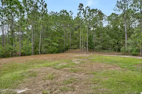 123 Penquin Pl, Hampstead, NC 28443 photo 19