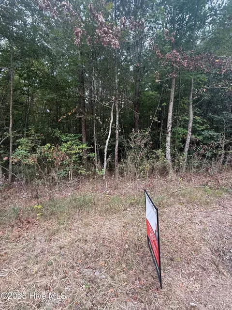 2 Tuggie Eure Rd, Eure, NC 27935