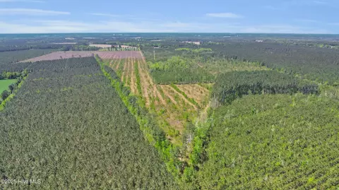 172 Acres Ten Mile Fork Rd, Trenton, NC 28585