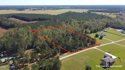 lot Apt 11 Upland Rd, Willard, NC 28478