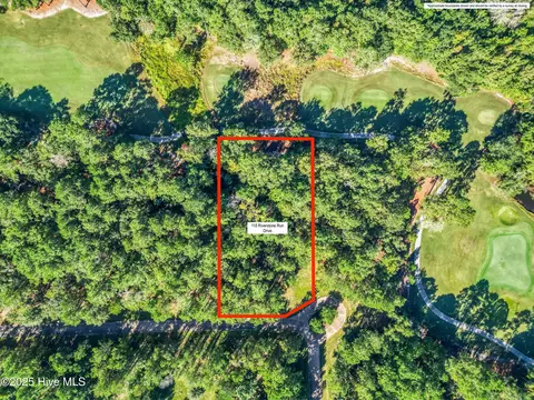 118 Riverstone Run Dr, Wallace, NC 28466
