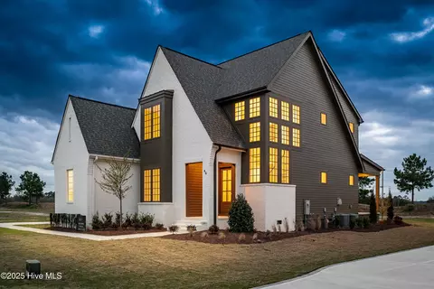 46 Pinewood Cv, Snow Hill, NC 28580