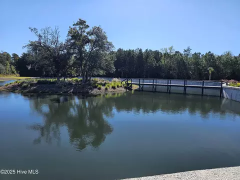 View/Area - 545 Glitter Bay Loop, Shallotte, NC 28470 photo 2 of 3