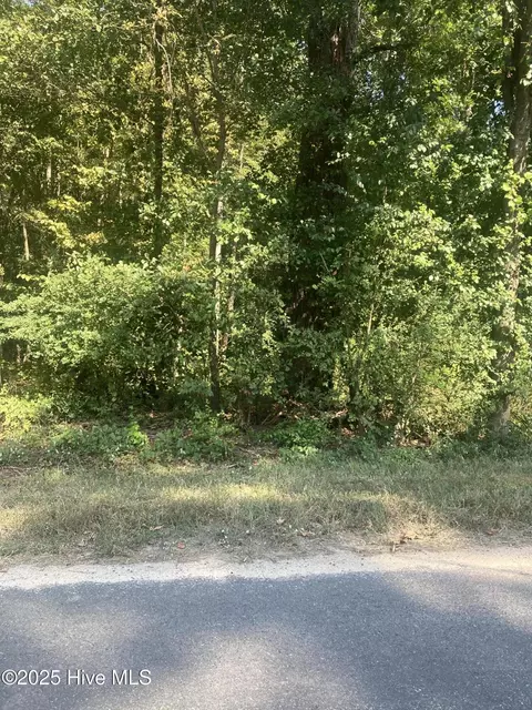 tbd Cedar Ln, Laurinburg, NC 28352