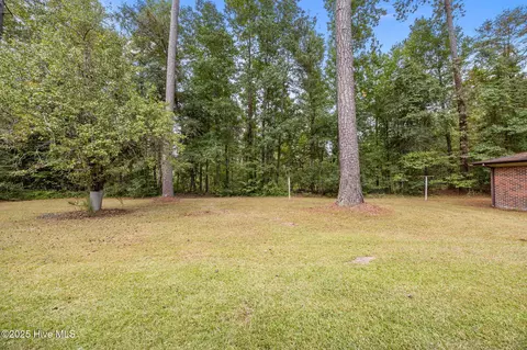 1341 Bear Trap Rd, Williamston, NC 27892 photo 35