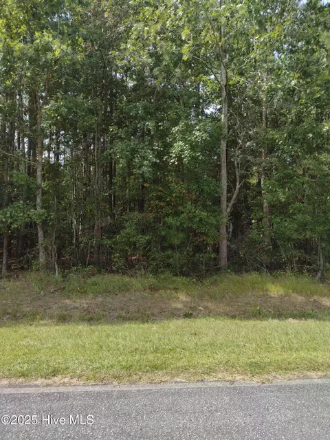 33 Pine Crest Rd, Bath, NC 27808 photo 2
