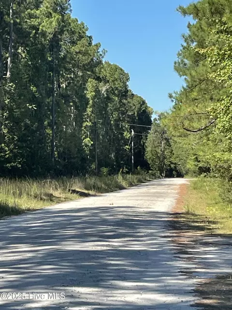 4225 Buck Dr, Castle Hayne, NC 28429
