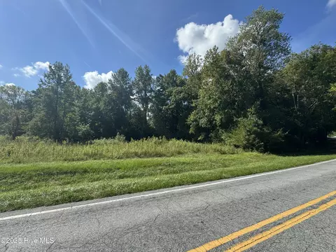 4073 Possum Track Rd, Chocowinity, NC 27817 photo 5
