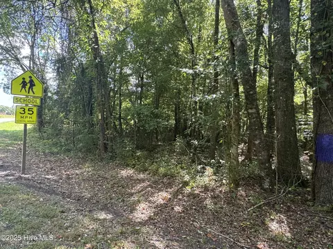 4073 Possum Track Rd, Chocowinity, NC 27817 photo 6