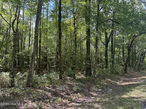 4073 Possum Track Rd, Chocowinity, NC 27817 photo 7