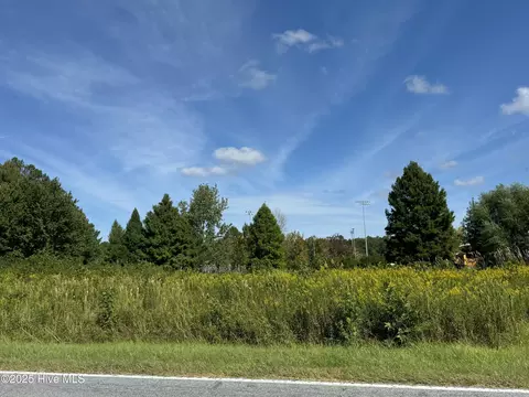 4073 Possum Track Rd, Chocowinity, NC 27817 photo 4