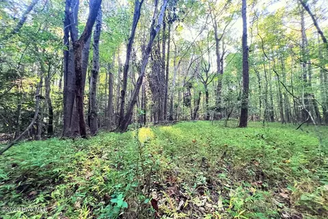 0 Bissette Rd, Middlesex, NC 27557 photo 32