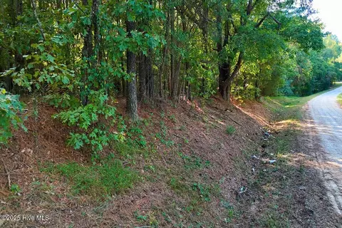 0 Bissette Rd, Middlesex, NC 27557 photo 12