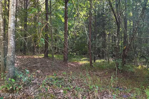 0 Bissette Rd, Middlesex, NC 27557 photo 25