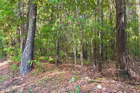 0 Bissette Rd, Middlesex, NC 27557 photo 28