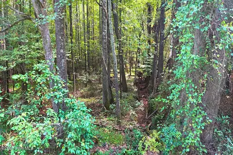 0 Bissette Rd, Middlesex, NC 27557 photo 29